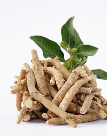 Stack of dried ashwagandha roots with green leaves on a white background