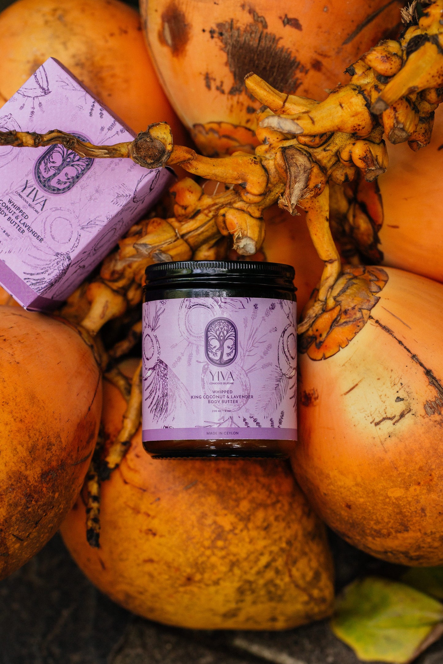 Vela candle with purple label on a background of pumpkins and gourds