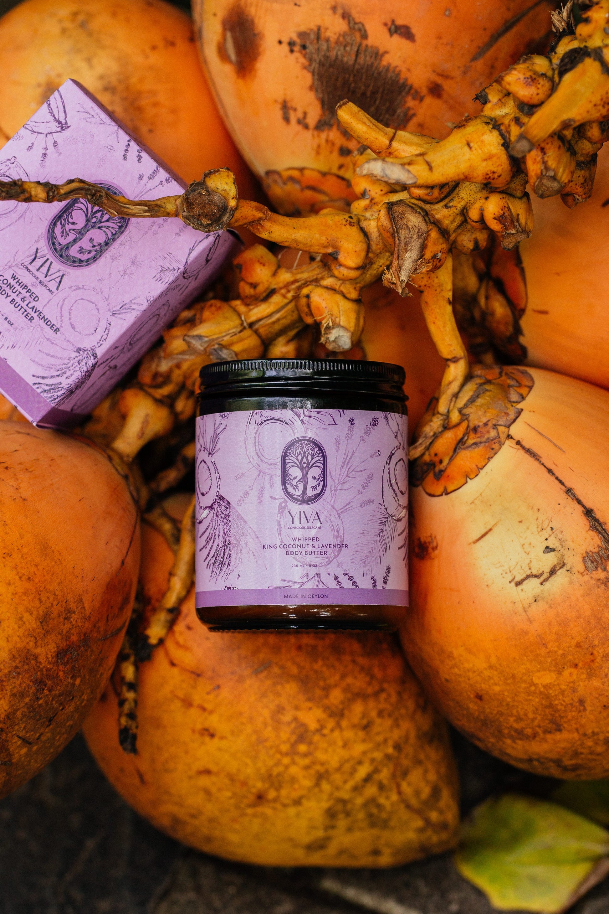 Vela candle with purple label on a background of pumpkins and gourds